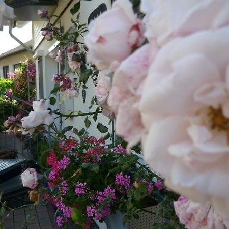 Gästehaus Rosengarten im Nahetal Kirn Exterior foto